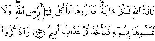 الحالي